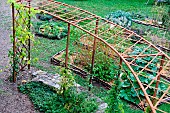 Medieval garden in old Mans, Sarthe, France