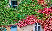 Windows in the greenery of old Mans, Sarthe, France