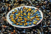 Pénestin mussels, Mussel dish from Pénestin, Morbihan, South Brittany, France