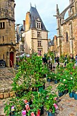 La fête entre cours et jardins, the plant and garden art festival, Cité Plantagenet in old Mans, Sarthe, France