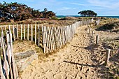 Protective dune markers for walkers, near Pen-er-Houet Locmariaquer, Morbihan, Southern Brittany, France