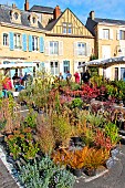 La fête entre cours et jardins, the plant and garden art festival, Cité Plantagenet in old Mans, Sarthe, France