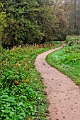 Country lane, Change, Sarthe, France