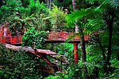 Woman in the japanese garden of Monte Palace. Funchal. Madeira island. Portugal.