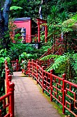 The japanese garden of Monte Palace. Funchal. Madeira island. Portugal.