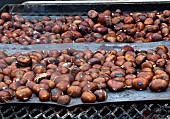 Chestnuts roasting on embers, Sarthe, France