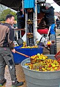 Mobile press for pressing cider apples, educational demonstration to the public at the Apple Festival, Arche de la nature, Le Mans Métropole, Sarthe, France