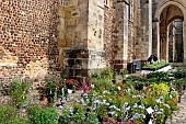Potted flower sale at the foot of Saint Julien Cathedral, cité Plantagenet, Le Mans, Sarthe, France