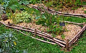 Medieval gardens often featured flowerbeds woven from wicker branches or willow, but also chestnut, Lovage plants, garden in the rue du bouquet in the cité Plantagenet in Vieux-Mans, Sarthe, France.