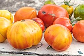 Tomato harvest