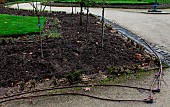 Plant garden in winter and visible irrigation pipes in summer, Le Mans, Sarthe, France