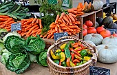 Carrots, cabbages, peppers, peppers and squash at the Jacobins market, Le Mans, Sarthe, France