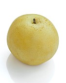 Nashi (Pyrus pyrifolia)