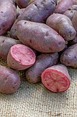 Potatoes Rouge de Cornouaille