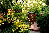 Japanese garden at the Jardin des Cotons in Alsace, France