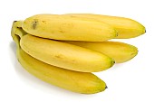Baby bananas Orito (= Freyssinette)