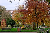 Beech, maple, bust of the poet Léon Deubel, born in Belfort in 1879, Emile Lechten park, Belfort, Territoire de Belfort, France