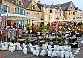Sale of roses from Anjou, Cité Plantagenet, Le vieux Mans, Le Mans, Sarthe, France