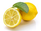 Lemons (Citrus × limon)