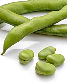 Broad bean (Vicia faba) fresh seeds and pods