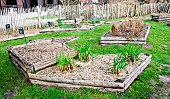 Vegetable garden in winter, Arche de la Nature, Le Mans, Sarthe, France