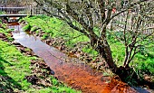 Sream à larche de la nature, Le Mans, Sarthe, France