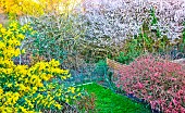 Spring flowers in the garden, Sarthe, Pays de la Loire, France