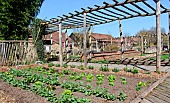 Vegetable garden at the Arche de la Nature, Le Mans metropole, Sarthe, France
