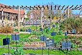 The future flowers of the Arche de la Nature garden in spring, Le Mans metropole, Sarthe, France