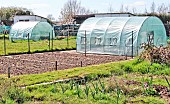 Plastic greenhouses in the allotment garden, Allonnes, Sarthe, France