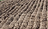 Land after ploughing, Sarthe, France