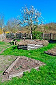 Vegetable garden and pear tree in bloom, lArche de la nature, Le Mans metropole, Sarthe, France