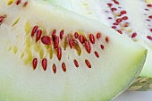 Citron melon (Citrullus amarus) slice