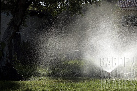 Irrigation_by_sprinkler