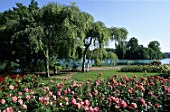 Park of the Tete dOr Rosery with view to the river Rhone, Lyon, France