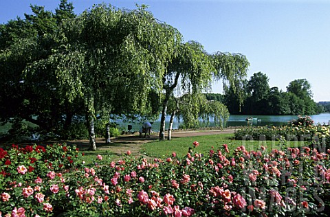 Park_of_the_Tete_dOr_Rosery_with_view_to_the_river_Rhone_Lyon_France