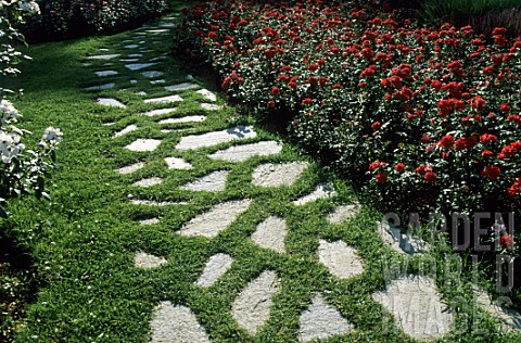 Paved_pathway_in_lawn_in_Park_of_the_Tete_dOr_Rosery_Lyon_France