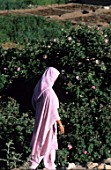 Omani woman in front of a field of roses, Oman