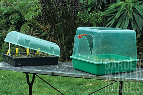Small_cold_frames_on_table