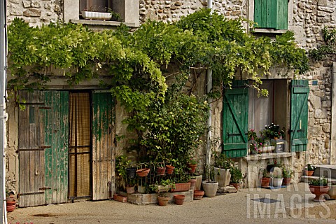 Wisteria_on_rural_property_Provence_France
