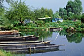 Boats and vegetable garden, Marsh of Bourges, Cher, France