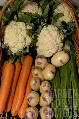 Basket_of_prize_winning_vegetables_MoretoninMarsh_agricultural_show_England