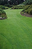 Healthy Green lawn