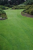 Healthy Green lawn