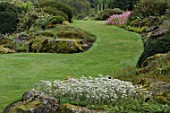 Curved lawn in garden