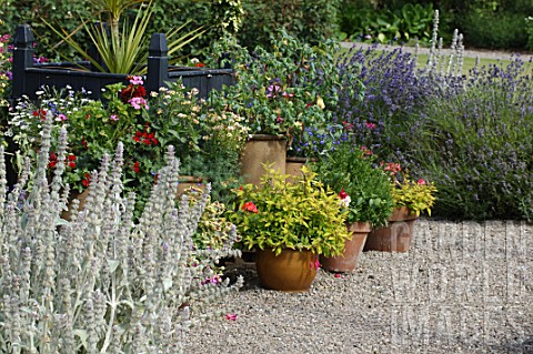 Various_containers_in_a_garden