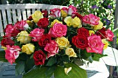 60 mixed coloured roses (Rosa sp.)