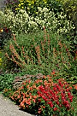 Orange perennial border