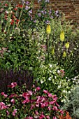 Perennial border with Kniphofia and Malva