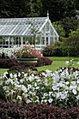 Malva at Malleny garden in Scotland -  -  -